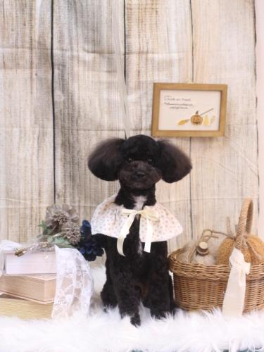 20241010コアくん